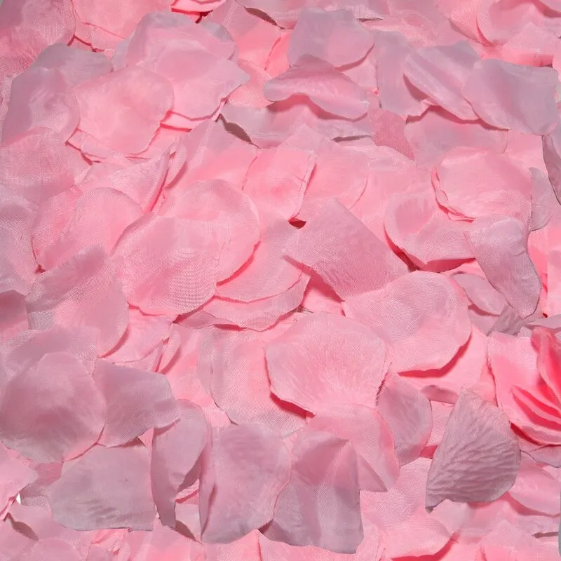 Diablo Picante – 100 rosa kronblad för romantisk atmosfär